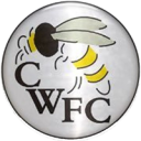 Chalfont Wasps FC