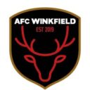 AFC Winkfield